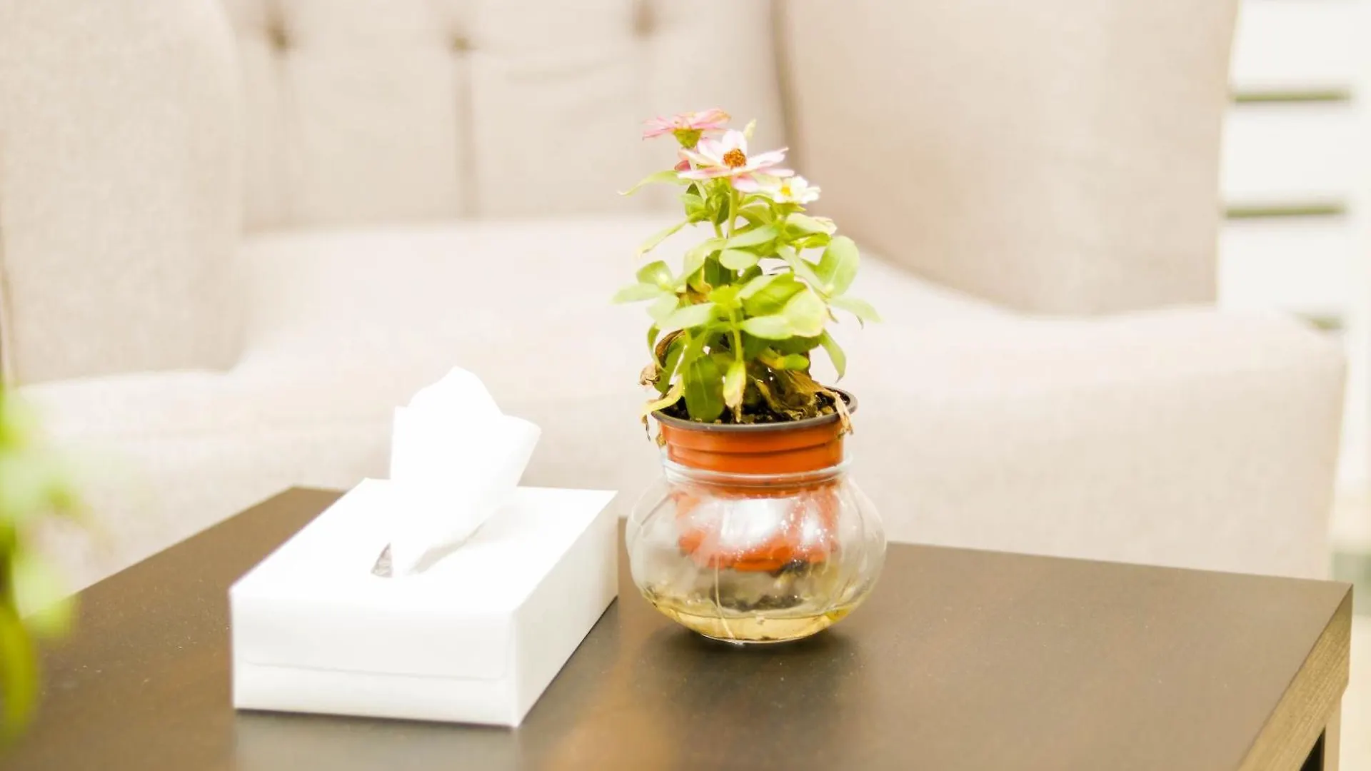 Al Farhan Hotel Suites Al Aqiq Riyad